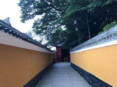 -普陀山风景区-佛顶山