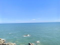 -广东惠东海龟国家级自然保护区