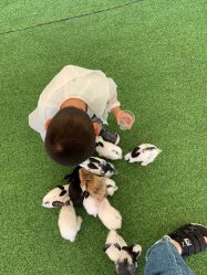 -萌宠亲子动物乐园(槐房万达店)