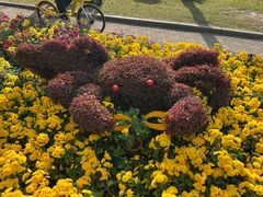 -上海大学(宝山校区)