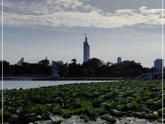-紫峰大厦