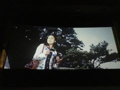 -庐山恋影院(河西路店)