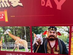 -满記土窑烧鷄波浪山莊
