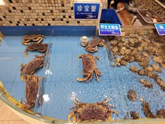 -双井轩(双井店)