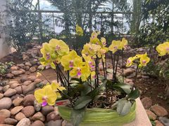 -石家庄市植物园