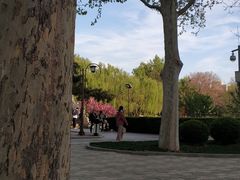 -团结湖公园