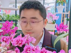 -荷兰花海