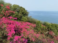 -涠洲岛火山国家地质公园