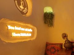 -Sirena海妖日咖夜酒