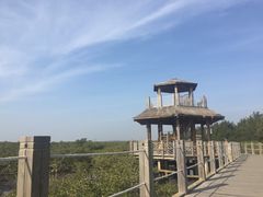 -北海金海湾红树林生态旅游区