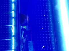 -蜀香三绝·牛蛙·烤鱼·天府炒鸡(安丘泰华店)