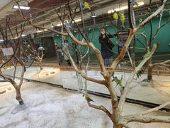 -上海大自然野生昆虫馆(东方明珠·爬宠昆虫探索中心)