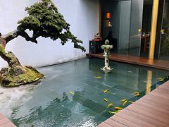 -觀芷隐轩