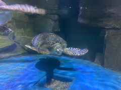 -多彩贵州城极地海洋世界