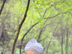 -野三坡百里峡景区