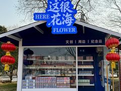 -荷兰花海