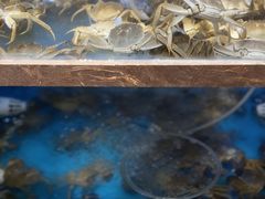 -蟹小姐节气生鲜·年货(高新店)