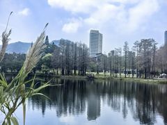 -四海公园(南山区)