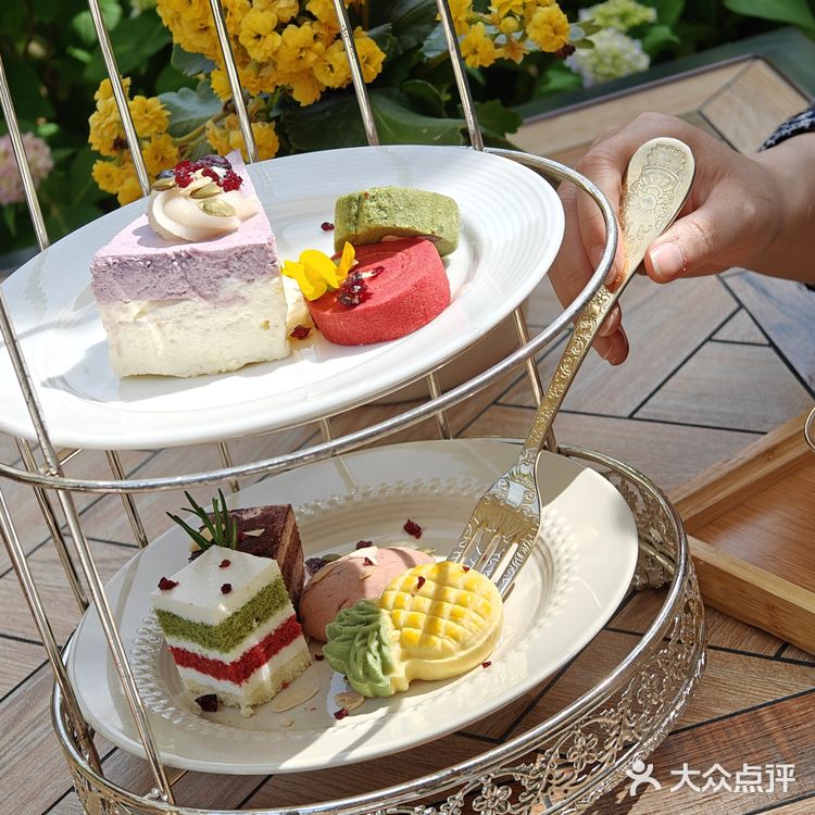 🌟【魔都市区的隐藏宝藏】🏡🍵