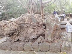 -海口火山口国家地质公园
