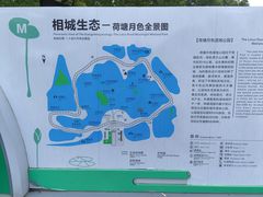 -荷塘月色湿地公园·向阳花洲