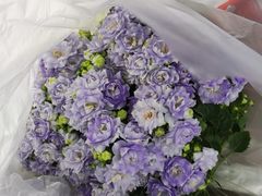 -循礼门鲜花花市(武汉循礼门店)