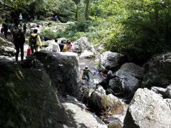 -夏霖九天银瀑风景区