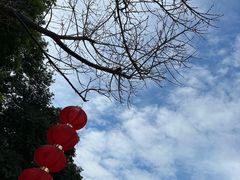 -广州市帽峰山景区