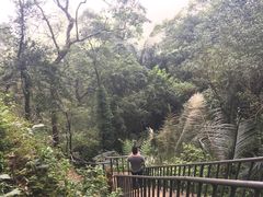 -七仙岭温泉国家森林公园