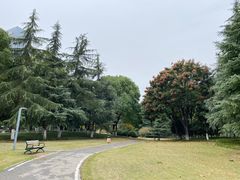 -后襄河公园