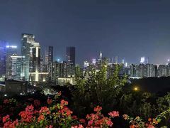 -莲花山公园