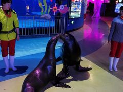 -烟台海昌鲸鲨海洋公园