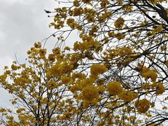 -中国移动南方基地