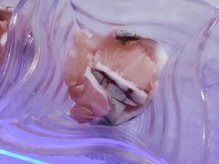 -澜悦港海鲜体验主题餐厅