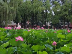 -四川大学(望江校区)