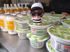 -德禄酸奶(莫家街店)