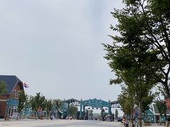 -荷兰花海