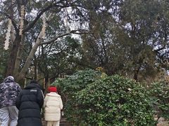 -云龙山
