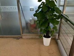 -石景山区图书馆(八角南路)