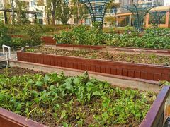 -梧桐人家中国太平国际健康颐养社区