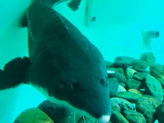 -太平洋海底世界