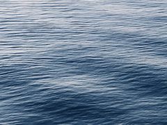 -人民防洪胜利纪念塔