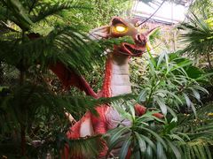 -呀路古热带植物园