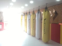 -津武堂散打搏击俱乐部(河西店)
