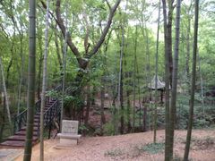 -宝岩生态观光园