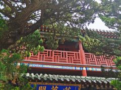 -蓬莱阁景区