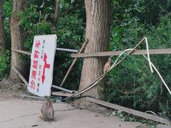 -十渡高山漂流