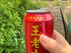 -木兰围场