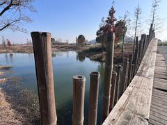 -田园东方蜜桃村的田野营地
