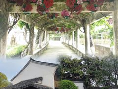 -观潮胜地公园